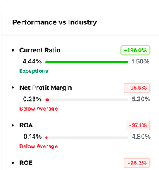 Financial Performance & Risk