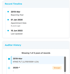 Auditor Identity & Legitimacy